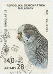 Front: Melopsittacus undulatus: 140-Franc ...