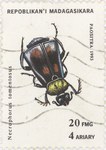 Nicrophorus tomentosus: 20-Franc (4-Ariary) Postage Stamp