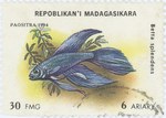 Betta splendens: 30-Franc (6-Ariary) Postage Stamp
