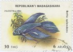 Front: Betta splendens: 30-Franc (6-Ariary...