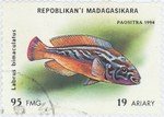 Labrus bimaculatus: 95-Franc (19-Ariary) Postage Stamp