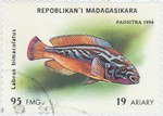 Front: Labrus bimaculatus: 95-Franc (19-Ar...