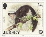 Front: Aye-Aye, Daubentonia madagascariens...