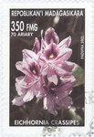 Front: Eichhornia crassipes: 350-Franc (70...