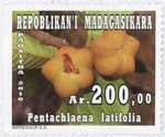 Front: Pentachlaena latifolia: 200-Ariary ...