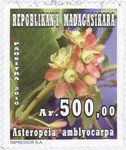Asteropeia amblyocarpa: 500-Ariary Postage Stamp