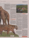 Article: The Times: Holidays in the wild: Tr...