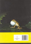 Back Cover: Threatened Frogs of Madagascar