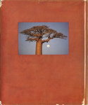 Back Cover: Madagascar