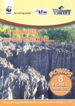 Front Cover: Vintsy: Bimestriel Malgache d'Orien...