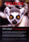 Front: Wild about Madagascar?