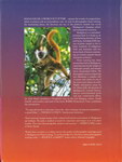 Back Cover: Madagascar: A World out of Time