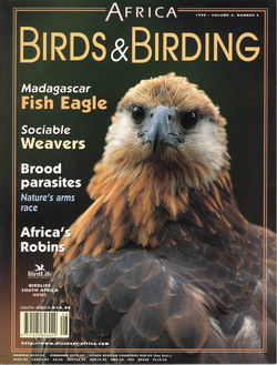 Africa – Birds & Birding: Vol. 3, No. 4