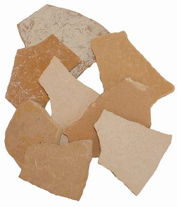 Elephant Bird Shell Fragments: Subfossil Fragments of Aepyornis maximus Eggshell