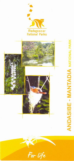 Andasibe-Mantadia National Park