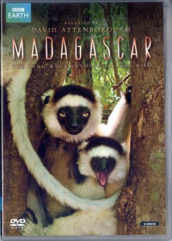 Madagascar: The land where evolution ran wild