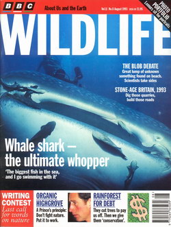 BBC Wildlife: August 1993, Volume 11, Number 8