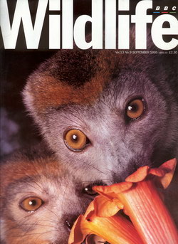 BBC Wildlife: September 1995, Volume 13, Number 9