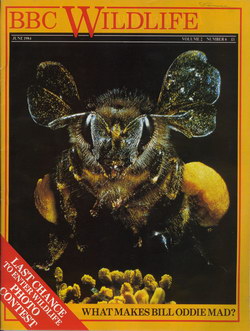 BBC Wildlife: June 1984, Volume 2, Number 6