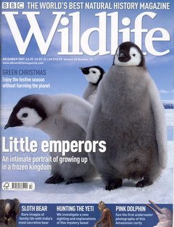 BBC Wildlife: December 2007, Volume 25, Number 13