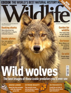 BBC Wildlife: July 2008, Volume 26, Number 7