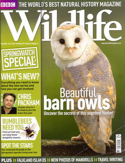 BBC Wildlife: June 2009, Volume 27, Number 6