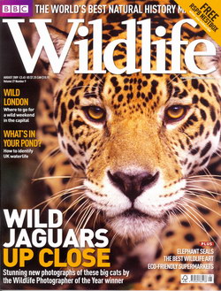 BBC Wildlife: August 2009, Volume 27, Number 9