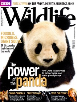 BBC Wildlife: December 2010, Volume 28, Number 13