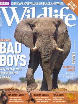 BBC Wildlife: March 2010, Volume 28, Number 3