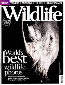 BBC Wildlife: October 2011, Volume 29, Number 11