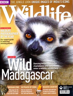 BBC Wildlife: February 2011, Volume 29, Number 2