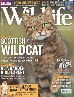 BBC Wildlife: January 2014, Volume 32, Number 1