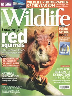 BBC Wildlife: September 2014, Volume 32, Number 10