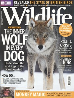 BBC Wildlife: February 2014, Volume 32, Number 2