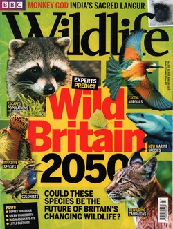 BBC Wildlife: July 2015, Volume 33, Number 8, Issue 402