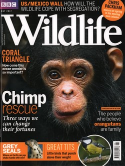 BBC Wildlife: May 2017, Volume 35, Number 6