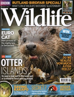 BBC Wildlife: August 2017, Volume 35, Number 9