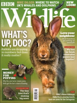 BBC Wildlife: September 2018, Volume 36, Number 10