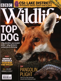 BBC Wildlife: March 2020, Volume 38, Number 3