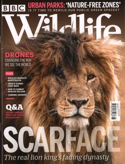 BBC Wildlife: August 2020, Volume 38, Number 9
