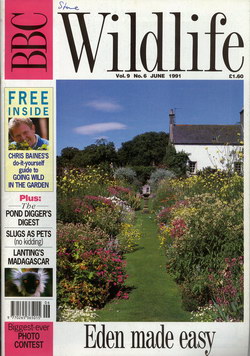 BBC Wildlife: June 1991, Volume 9, Number 6