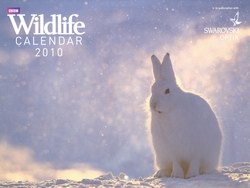 BBC Wildlife Calendar 2010