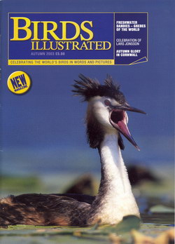 Birds Illustrated: Autumn 2003: Volume 1, Issue 1