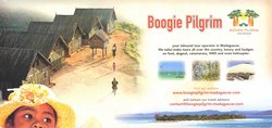 Boogie Pilgrim