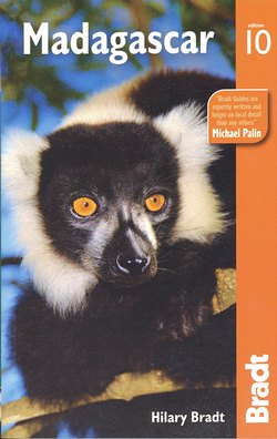 Madagascar: The Bradt Travel Guide