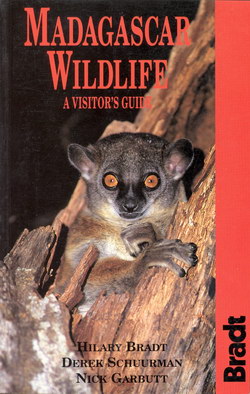 Madagascar Wildlife: A Visitor's Guide