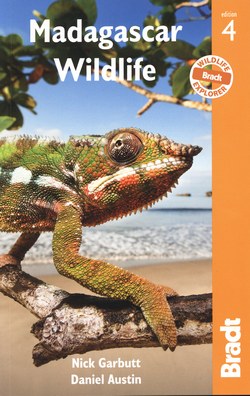 Madagascar Wildlife: A Visitor's Guide