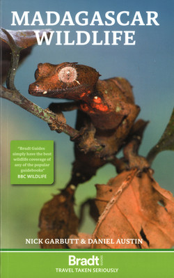 Madagascar Wildlife: A Visitor's Guide