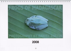 Frogs of Madagascar Calendar: Photography by Daniel Austin