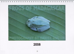 Frogs of Madagascar Calendar: Photography by Daniel Austin